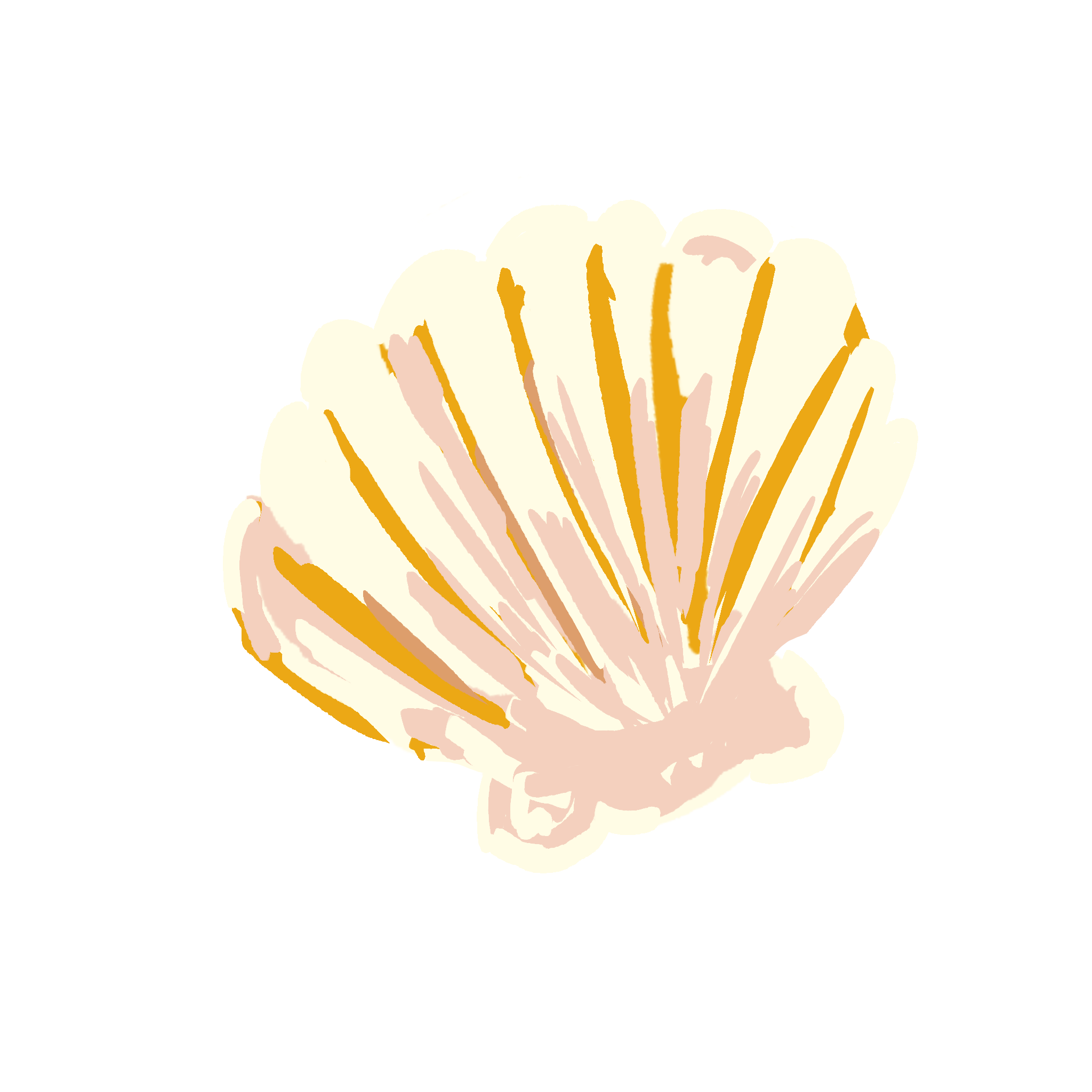 shell decoration